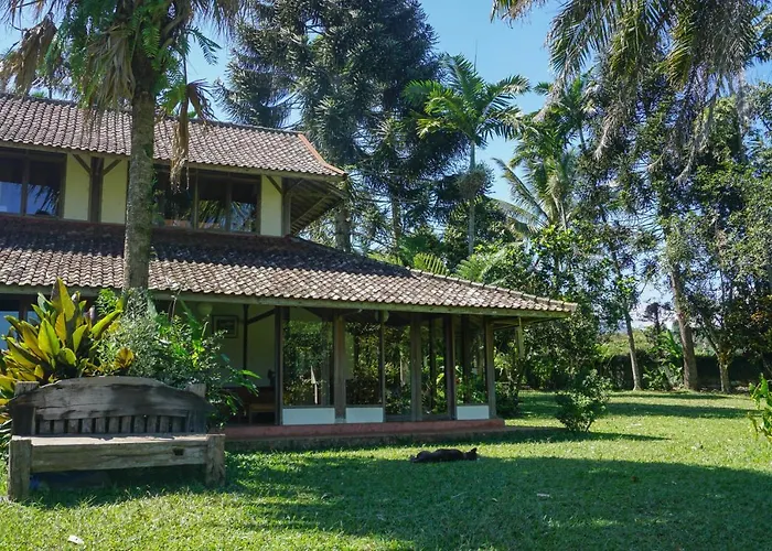 Lodge Temuku Pupuan