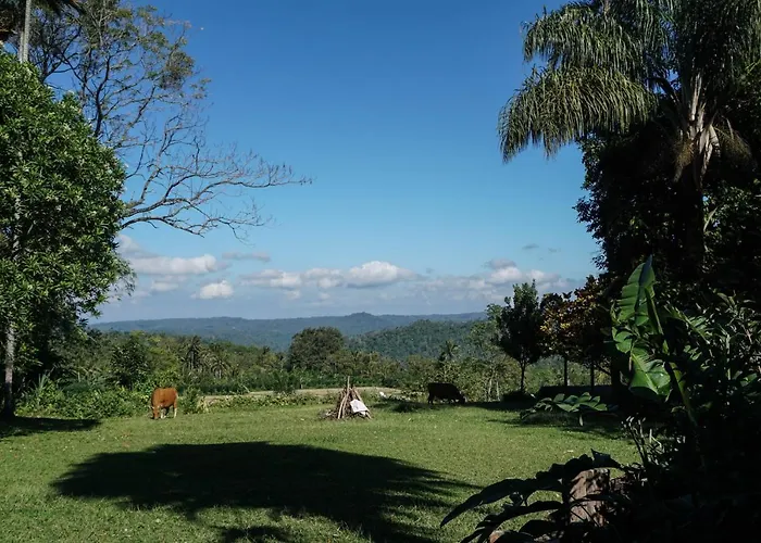 Temuku Pupuan Pujungan